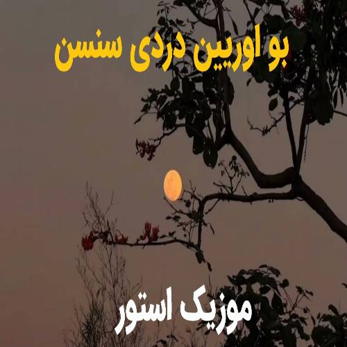 آهنگ بو اوریین دردی سنسن ان گوزل اثری سنسن با صدای زن و مرد (هوش مصنوعی) آهنگ بو اوریین دردی سنسن ان گوزل اثری سنسن با صدای زن و مرد (هوش مصنوعی)